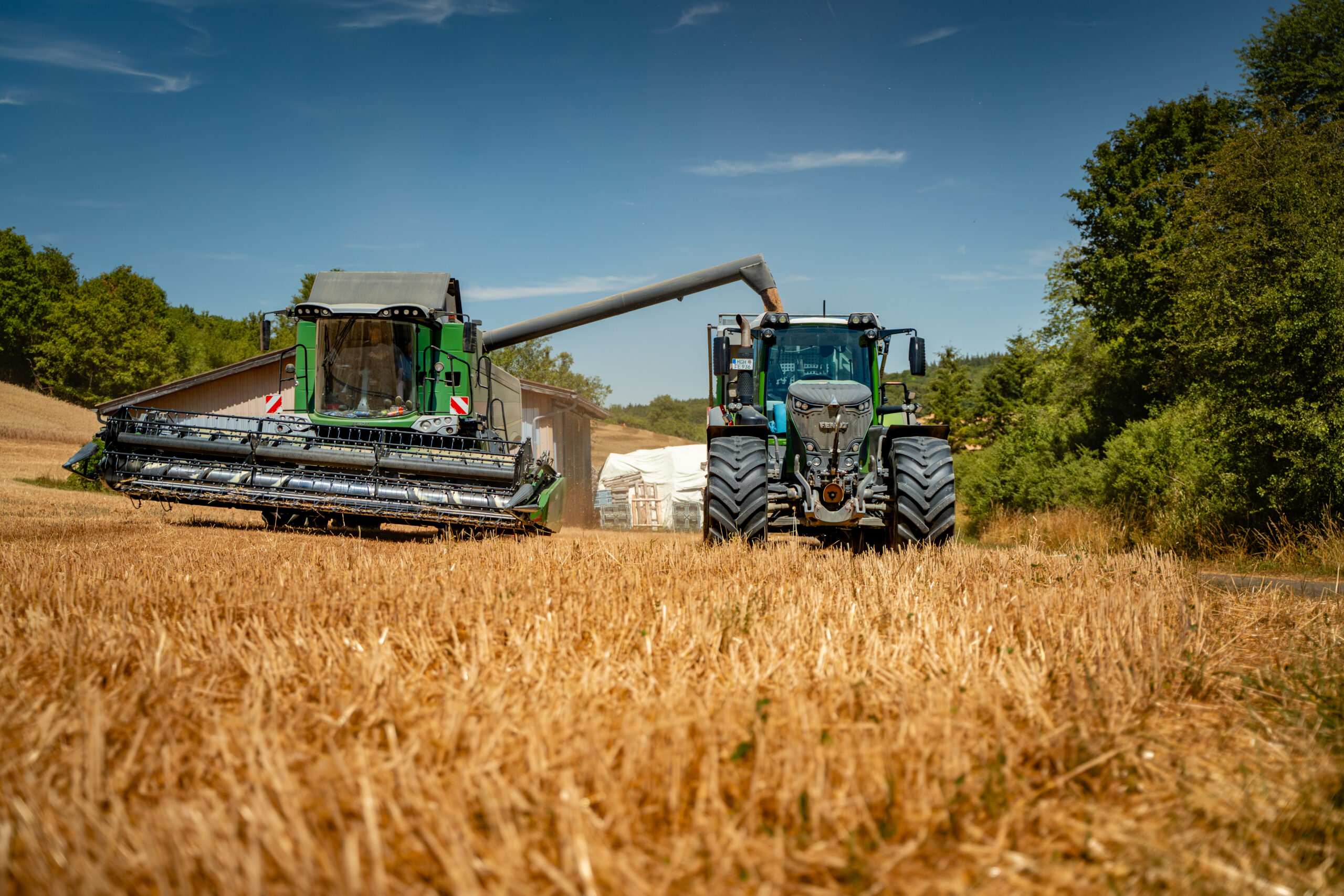 260710_unbenannt_unbenannte Fotosession_045-2